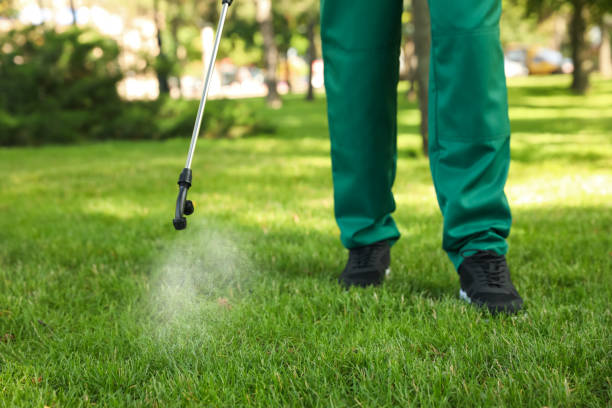 Best Exterminator Services  in Fort Wright, KY