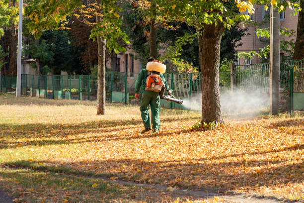 Best Wasp Removal Services  in Fort Wright, KY